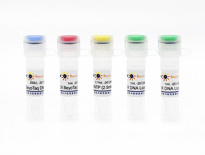 PCR Kit with BeyoTaq